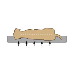 Beeztees 2-in-1 Ligkussen -Hondenbenodigdheden Winkel 2minxKCswFmzFTXuyJvHWhCE6LQvXi metaQmVlenRlZXMtTWVtb3J5LUZvYW0tVW1hLUhvbmRlbm1hbmQtb3J0aG9wZWRpc2NoLTIuanBn