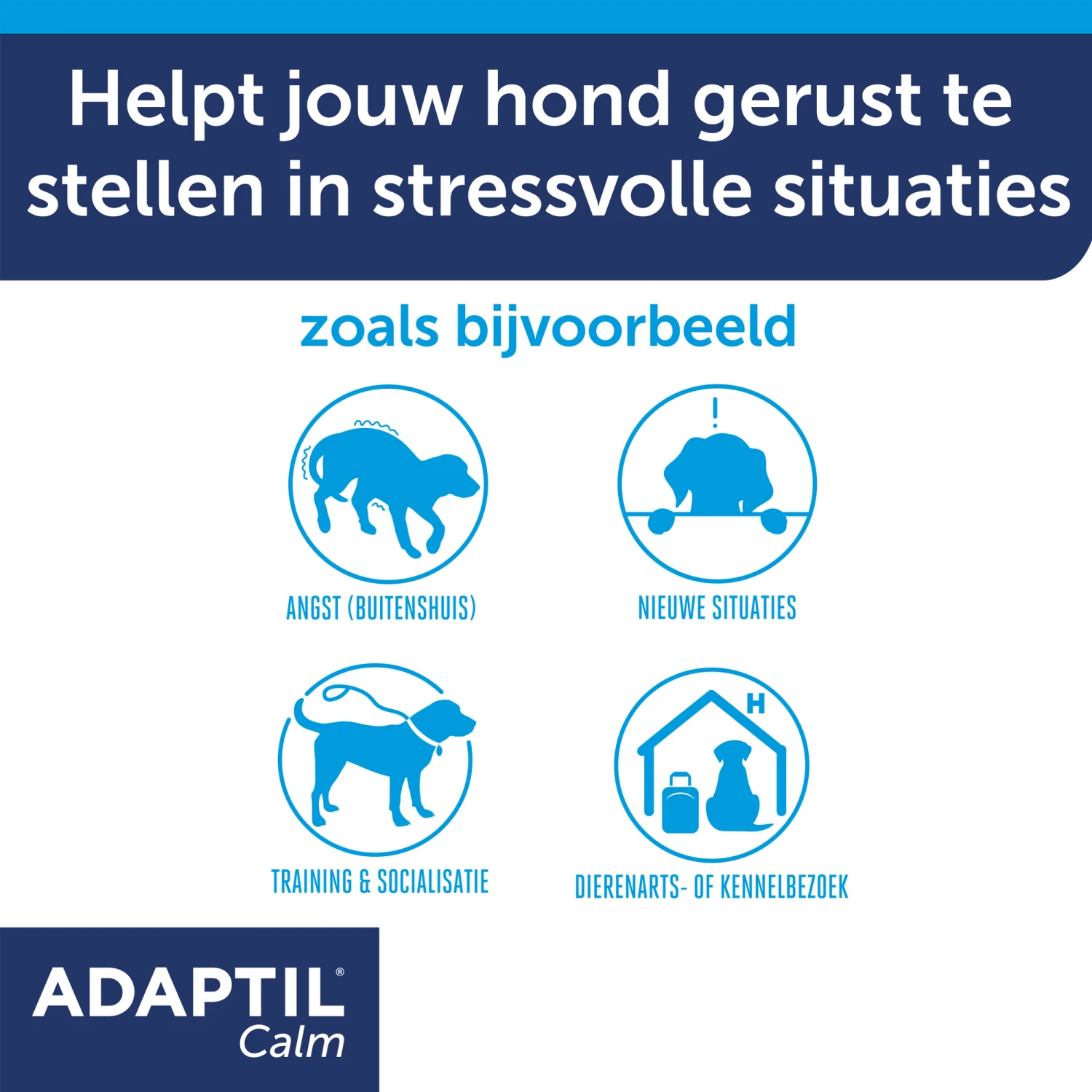 Adaptil Halsband 4 Adaptil Halsband - Afbeelding 4