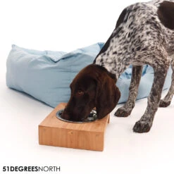 51 Degrees North Voerbak Teak High -Hondenbenodigdheden Winkel 51 degrees north voerbak teak high 211085 1000 none