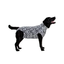 Medical Pet Shirt Hond Zebra Print -Hondenbenodigdheden Winkel 5d61baaf1d2243f09d35f3f0de7197ec6d51f50aeddf5889399c03b64272df77 3