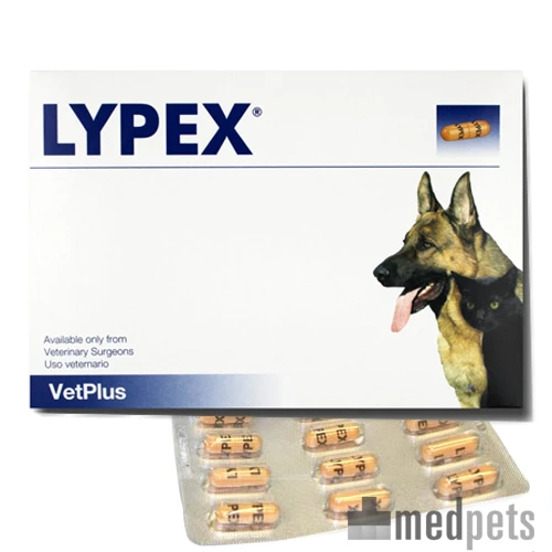 Vetplus Lypex 4 Vetplus Lypex - Afbeelding 4