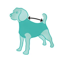 Suitical Recovery Suit Hond - Camouflage 17 Suitical Recovery Suit Hond - Camouflage -Hondenbenodigdheden Winkel ILtF02kyXAnbRr88QvQ12b6rufTPVq metacHJvZHVjdF9yZWNvdmVyeV9zdWl0X2hvbmRfbWVkcGV0c180XzE0MTQ1NjgzNTZfOTA2OS5qcGc