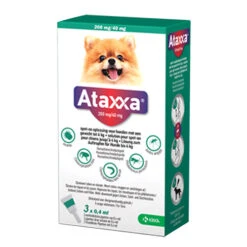 Ataxxa -Hondenbenodigdheden Winkel PlMgHYrapgs3AN0ZsE4fkzI6fGrwJC metadG90LTQta2cuanBn