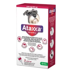 Ataxxa -Hondenbenodigdheden Winkel S40n6d21DzYQHtLa7xvz3dTp8Pk0OA metaMTAtMjUta2cuanBn