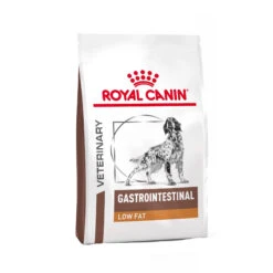 Royal Canin Gastrointestinal Low Fat Hond -Hondenbenodigdheden Winkel Y2iJ1vbxPHWdOvxuNAQaclUpwykmQK metaR0FTVFJPSU5URVNUSU5BTC1MT1ctRkFULTEuanBn