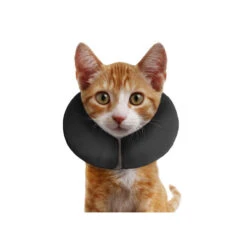ZenPet Pro Collar -Hondenbenodigdheden Winkel acf3a53e750af16e02f3b6c4def4cf122f33c26a00c663a14593321940f579ed 3