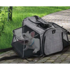 All For Paws AFP Travel Dog - Rolling Pet Carrier -Hondenbenodigdheden Winkel afp travel dog rolling pet carrier 213521 0500 none