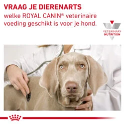 Royal Canin Gastrointestinal Low Fat Hond -Hondenbenodigdheden Winkel akXjQNQ3ByYiTmynjH6YljknpWL3Up metaR0FTVFJPSU5URVNUSU5BTC1ISUdILUZJQlJFLTkuanBn