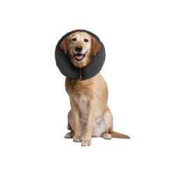ZenPet Pro Collar -Hondenbenodigdheden Winkel b9d301add6d39657a966c48b72bc7ff13db7aeea42aea421ed1c8706f3dc0c4f 3