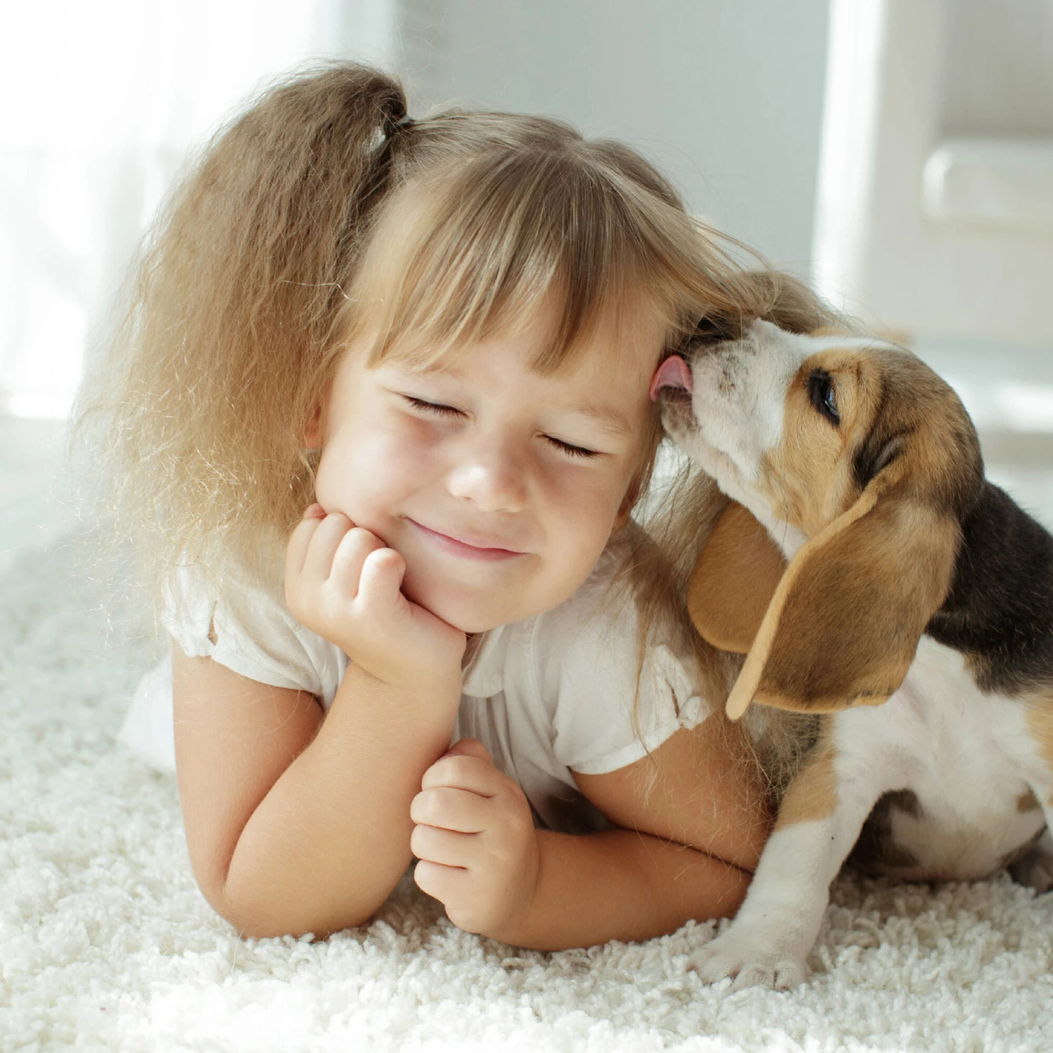 Beaphar Fiprotec Spray 6 Beaphar Fiprotec Spray - Afbeelding 6