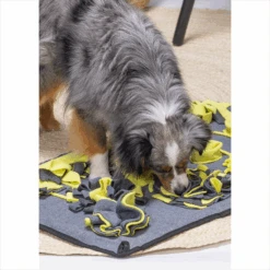 Beeztees Snuffelmat Flora -Hondenbenodigdheden Winkel beeztees snuffelmat flora 221755 1500 none