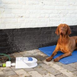 Beeztees Splashy Waterfontein -Hondenbenodigdheden Winkel beeztees splashy waterfontein 163285 2000 none