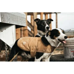 Carhartt Dog Chore Coat -Hondenbenodigdheden Winkel carhartt dog chore coat 186748 0500 none