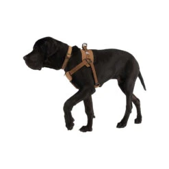 Carhartt Work Dog Harness 14 Carhartt Work Dog Harness -Hondenbenodigdheden Winkel carhartt work dog harness 186805 1000 none