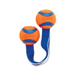 Chuckit! Ultra Duo Tug 8 Chuckit! Ultra Duo Tug -Hondenbenodigdheden Winkel chuckit ultra duo tug 122951 0500 none