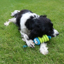 Coockoo Larry -Hondenbenodigdheden Winkel coockoo larry 216712 1000 none