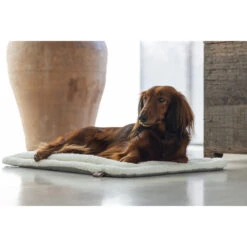 Designed By Lotte Benchkussen Gisel -Hondenbenodigdheden Winkel designed by lotte benchkussen gisel 221516 1000 none