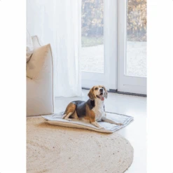 Designed By Lotte Benchkussen Gisel -Hondenbenodigdheden Winkel designed by lotte benchkussen gisel 221517 1500 none