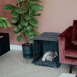 District 70 Crate Bench Hoes 34 District 70 Crate Bench Hoes -Hondenbenodigdheden Winkel district 70 crate cover 191152 0500 none