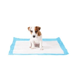 Duvo+ Puppy Pads 15 Duvo+ Puppy Pads -Hondenbenodigdheden Winkel duvo puppy pads large 50 stuks 108439 1000 none