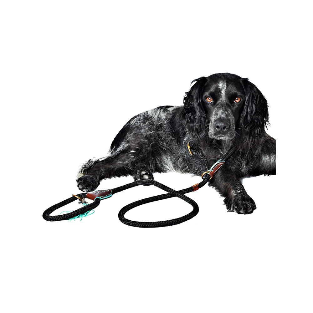 DWAM Hondenriem Long John 3 DWAM Hondenriem Long John - Afbeelding 3