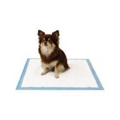 Easypets Trainingspads -Hondenbenodigdheden Winkel easypets trainingspads 184186 1000 none