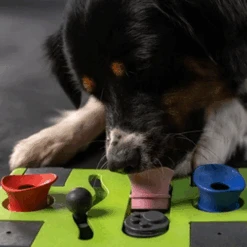 Eat Slow Live Longer Puzzle Antischrok Voerbak 19 Eat Slow Live Longer Puzzle Antischrok Voerbak -Hondenbenodigdheden Winkel eat slow live longer puzzle antischrok voerbak 220720 0500 none