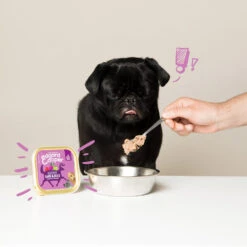 Edgard & Cooper Adult - Wild & Eend - Kuipje 13 Edgard & Cooper Adult - Wild & Eend - Kuipje -Hondenbenodigdheden Winkel edgard cooper adult wild eend kuipje 168648 1000 none