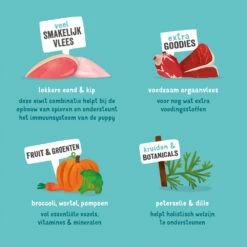 Edgard & Cooper Puppy - Eend & Kip - Kuipje -Hondenbenodigdheden Winkel edgard cooper puppy eend kip kuipje 168675 1000 none