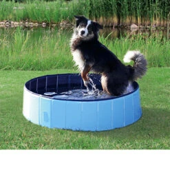 Trixie Dog Pool -Hondenbenodigdheden Winkel f3c254e7b093a35df5be4dec515b817f11f0cc6e13d32cccfd615f978850dadb 3