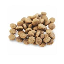 Fish4Dogs Finest Adult Complete - Zalm Kleine Brok -Hondenbenodigdheden Winkel fish4dogs finest adult complete zalm kleine brok 160952 1000 none