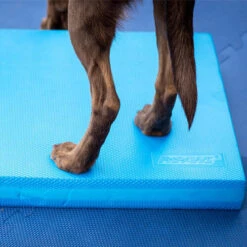 FitPAWS Balance Pad -Hondenbenodigdheden Winkel fitpaws balance pad 176131 0500 none