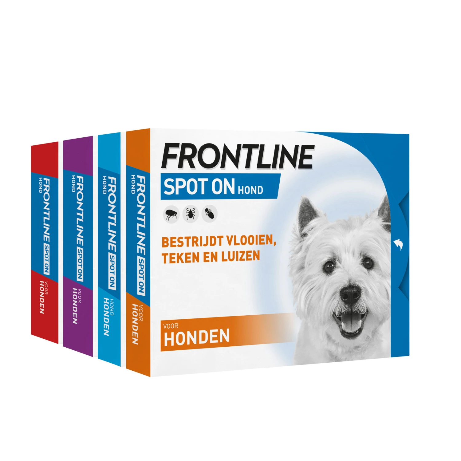 Frontline Spot On Hond 8 Frontline Spot On Hond - Afbeelding 8