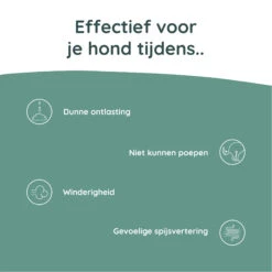 Greenfields Probiotics+ 10 Greenfields Probiotics+ -Hondenbenodigdheden Winkel greenfields probiotics 208382 2000 none