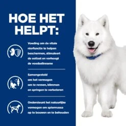 Hill's K/d + Mobility - Prescription Diet - Canine -Hondenbenodigdheden Winkel hills kd mobility prescription diet canine 212207 2000 none