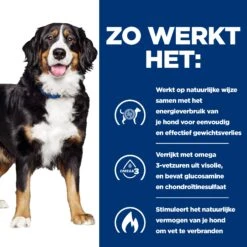 Hill's Metabolic + Mobility - Prescription Diet - Canine -Hondenbenodigdheden Winkel hills metabolic mobility prescription diet canine 212762 2000 none