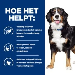 Hill's Metabolic + Mobility - Prescription Diet - Canine -Hondenbenodigdheden Winkel hills metabolic mobility prescription diet canine 212765 2000 none