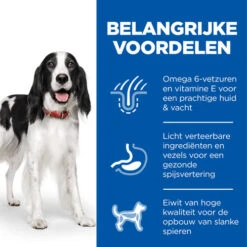 Hill's Science Plan - Canine Adult - Beef 7 Hill's Science Plan - Canine Adult - Beef -Hondenbenodigdheden Winkel hills science plan canine adult beef 218465 0500 none