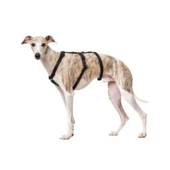 Hunter Vario Rapid Veiligheidsharnas -Hondenbenodigdheden Winkel hunter vario rapid veiligheidsharnas zwart 169501 0500 none