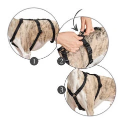 Hunter Vario Rapid Veiligheidsharnas -Hondenbenodigdheden Winkel hunter vario rapid veiligheidsharnas zwart 169510 0500 none