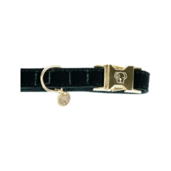 Kentucky Dogwear Corduroy Hondenhalsband 31 Kentucky Dogwear Corduroy Hondenhalsband -Hondenbenodigdheden Winkel kentucky dogwear corduroy hondenhalsband 219195 0500 none