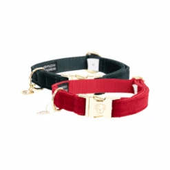 Kentucky Dogwear Corduroy Hondenhalsband 28 Kentucky Dogwear Corduroy Hondenhalsband -Hondenbenodigdheden Winkel kentucky dogwear corduroy hondenhalsband 219197 0500 none
