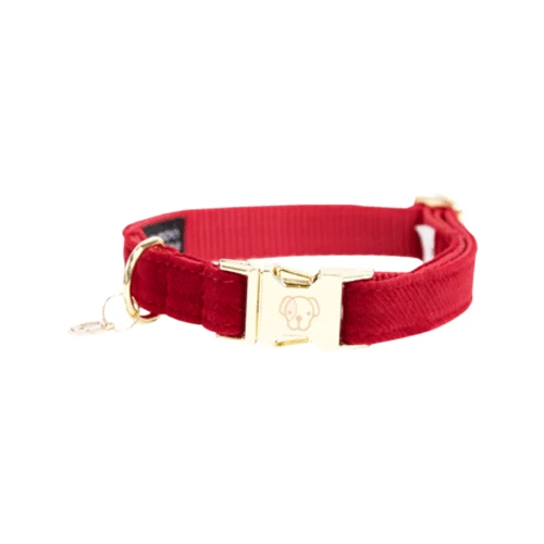 Kentucky Dogwear Corduroy Hondenhalsband 12 Kentucky Dogwear Corduroy Hondenhalsband - Afbeelding 12