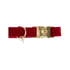 Kentucky Dogwear Corduroy Hondenhalsband 32 Kentucky Dogwear Corduroy Hondenhalsband -Hondenbenodigdheden Winkel kentucky dogwear corduroy hondenhalsband 219199 0500 none