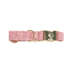 Kentucky Dogwear Hondenhalsband Wool 35 Kentucky Dogwear Hondenhalsband Wool -Hondenbenodigdheden Winkel kentucky dogwear hondenhalsband wool 219709 0500 none