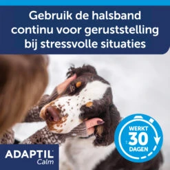 Adaptil Halsband 16 Adaptil Halsband -Hondenbenodigdheden Winkel knt105PEfXWOaVZYOBD4cCfJvkFbpw metaQWRhcHRpbC1jYWxtLWNvbGxhci1DYXJvdXNzZWwtNS5qcGc