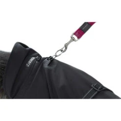 Kruuse Rehab Hondendeken -Hondenbenodigdheden Winkel kruuse rehab hondendeken 108004 0500 none