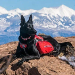 Kurgo Baxter Backpack -Hondenbenodigdheden Winkel kurgo baxter backpack 222793 0500 none