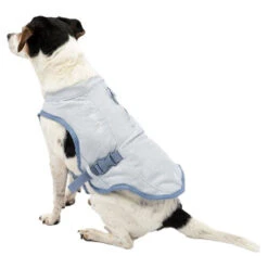 Kurgo Core Cooling Vest -Hondenbenodigdheden Winkel kurgo core cooling vest 222803 0500 none