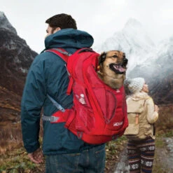 Kurgo G-Train K9 Pack -Hondenbenodigdheden Winkel kurgo g train k9 pack 177133 0500 none